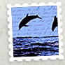 Print Services Print Services